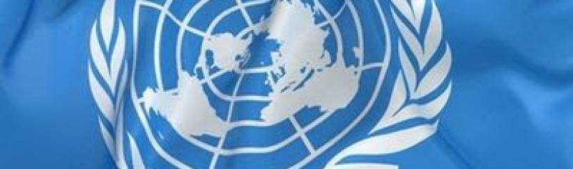 المالكي يؤكد على أهمية اجتماعات لجنة الأمم المتحدة المعنية بحقوق شعبنا غير القابلة للتصرف