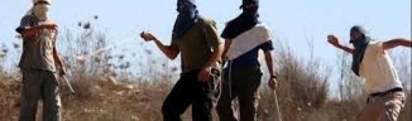 مستوطنون يهاجمون المركبات بالحجارة ويعربدون جنوب جنين