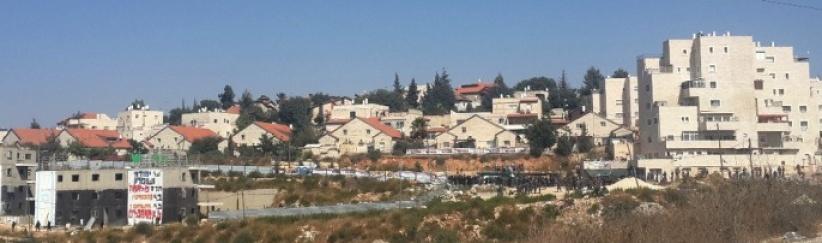 فلسطيني من رام الله رفض بيع أرضه لليهود مقابل ” ملايين الدولارات “