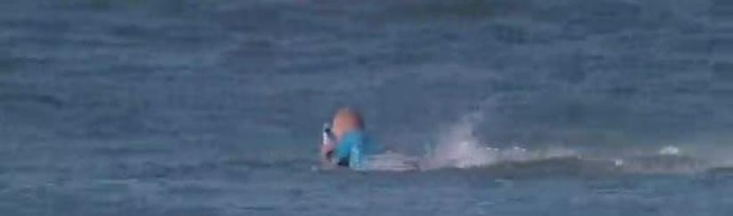 بالفيديو : سمكة قرش تهاجم 