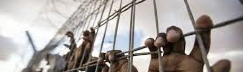 المصادقة على التغذية القسرية