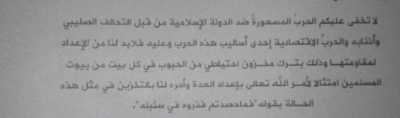 8 دواوين تدير خلافة داعش