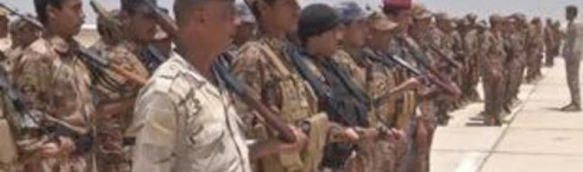 استعدادات عسكرية لاستعادة الرمادي والفلوجة