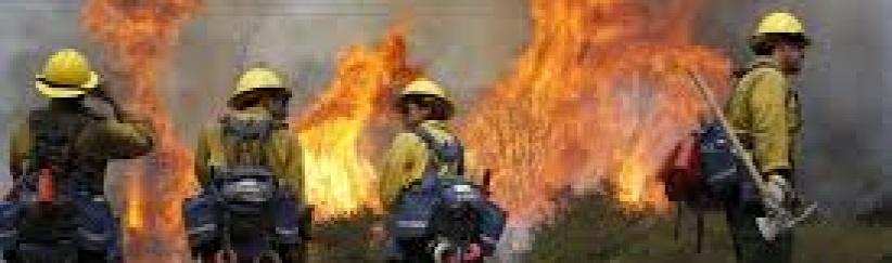 إخماد حريق في منطقة جبلية غرب الخليل