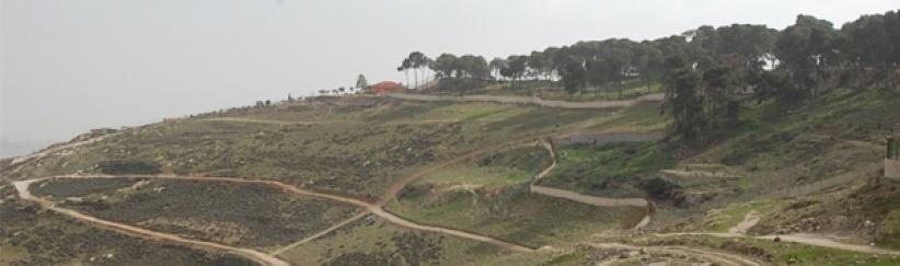 مصادرة 740 دونما من أراضي العيسوية والطور