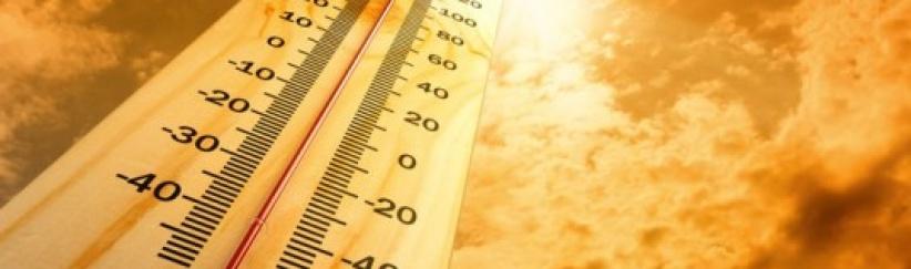 عيــــــد حــــــار