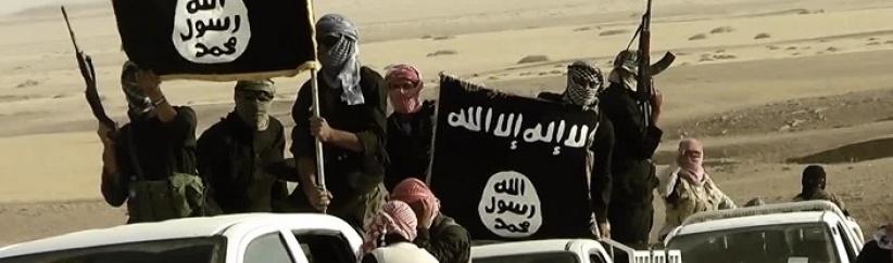 الأمم المتحدة: ثلث أراضي العراق تحت سيطرة 