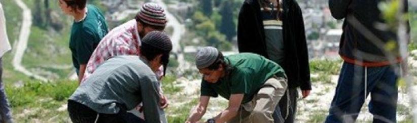 مستوطنون يهاجمون مزارعين في قصرة جنوب نابلس