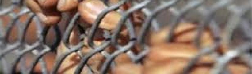 إدارة سجن مجدو تنتهج عقابًا جديدًا مع الأشبال