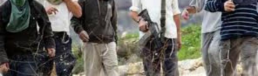 المستوطنون ينفذون اعتداءات على المداخل الواصلة بين الخليل وبلداتها