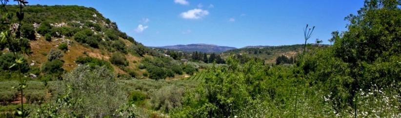 حالة الطقس- توالي ارتفاع درجات الحرارة خلال اليومين المقبلين