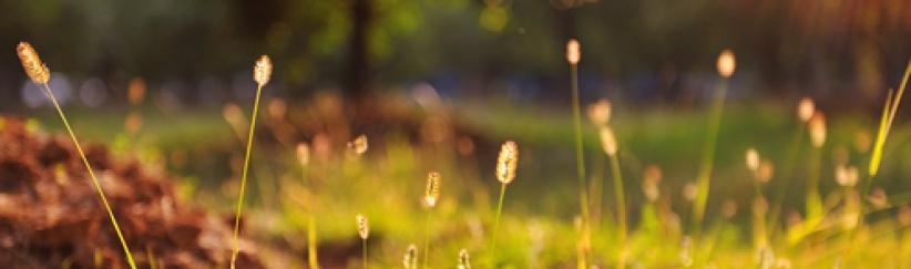 الطقس حتّى الإثنين - فرص مهيّأة لتساقط أمطار محلية