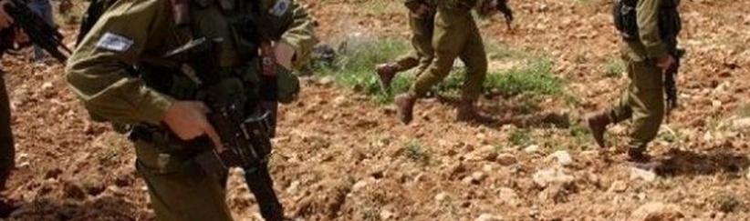 الاحتلال يمنع عشرات المزارعين من الوصول إلى حقول الزيتون في نعلين