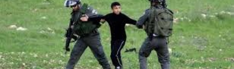 الاحتلال يعتقل طفلا ووالده أثناء قطفهما الزيتون شرق قلقيلية
