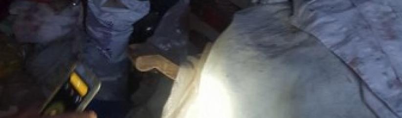 روائح كريهة من منزل مُسنة مصرية .. وماعثرت عليه الشرطة مُروع وصادم