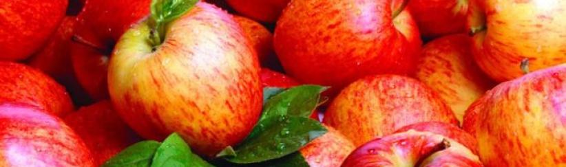 التغذية الصحية مهمة لمرضى السكري