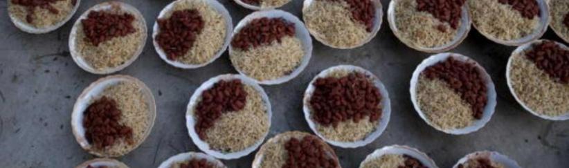 طبق واحد يكشف 