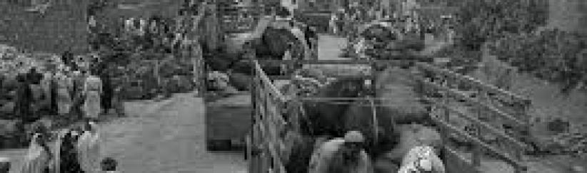 69 سنة على مجزرة الاحتلال في قرية الدوايمة