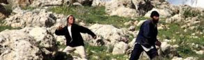 مستوطنون يهاجمون المزارعين جنوب الخليل