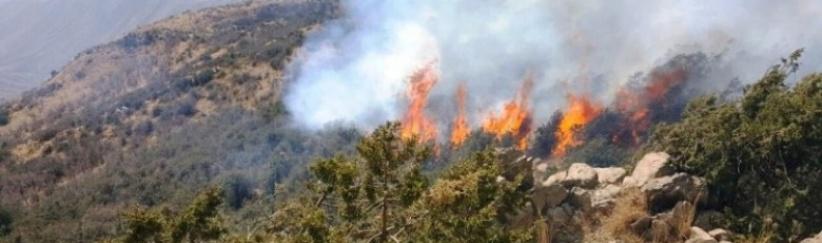 حريق ضخم يلتهم 900 دونم من جبال القدس