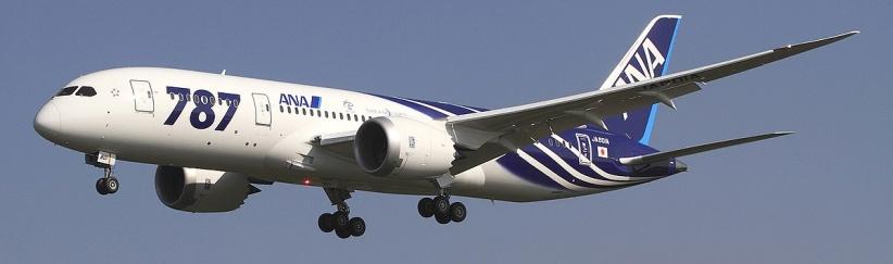 هبوط اضطراري بسبب مشاجرة زوجية عنيفة