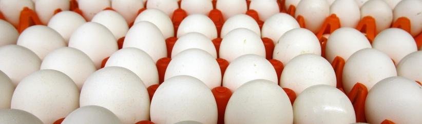 تحذير: لا لتخزين البيض بباب الثلاجة