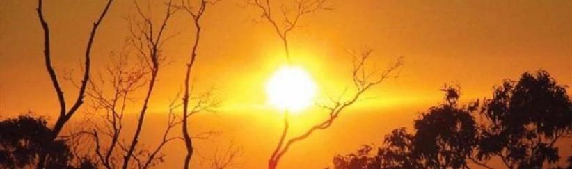 الحرارة تواصل الارتفاع