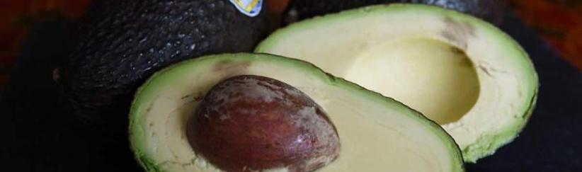 أطعمة شائعة تحمي الدماغ وتقوي الذاكرة