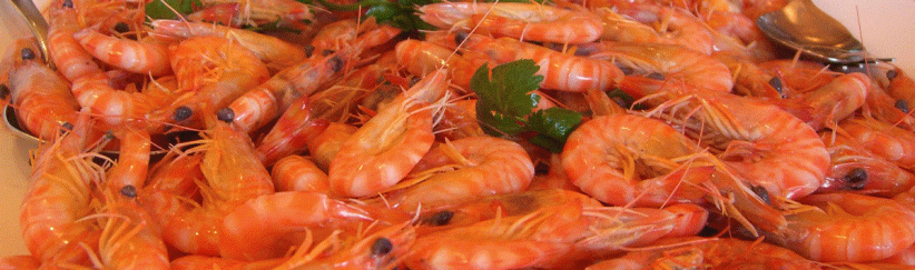 المأكولات البحرية لذيذة ومغذية.. وضارة للبعض