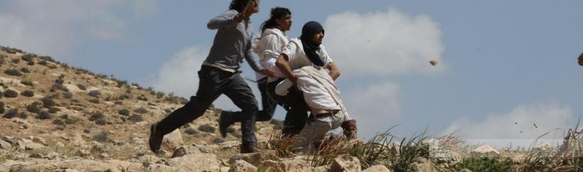 إصابتان باعتداء مستعمرين واعتقال 7 مواطنين في مسافر يطا