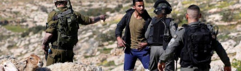 مستعمرون يهاجمون منزلا في ترمسعيا شمال رام الله