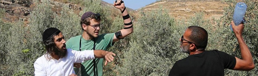 مستعمرون يهاجمون مزارعين خلال قطف الزيتون في أودلا جنوب نابلس