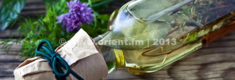 نبتة إكليل الجبل (روزماري)...لعلاج العديد من الأمراض