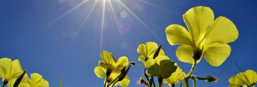 حالة الطقس لليوم الجمعة 24-5-2013