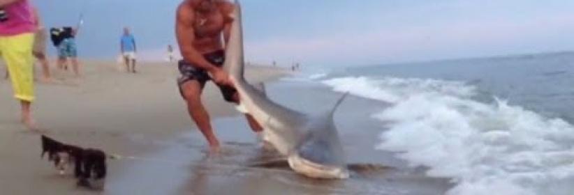 [بالفيديو].. شاب أمريكي يصطاد سمكة قرش بيديه العاريتين