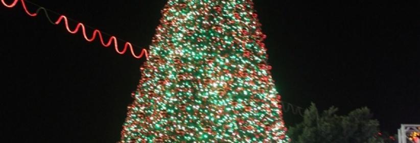 هكذا أضاءت بيت لحم شجرة الميلاد