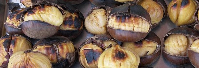 الكستناء غذاء الموسم تعرف على قيمته الغذائية