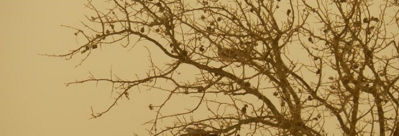 حالة الطقس لليوم السبت 22-2-2014