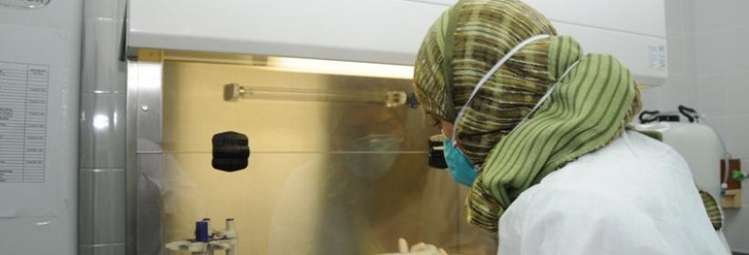 الصحة تؤكد جاهزيتها لمواجهة 