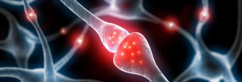 دراسة: كثرة الجلوس تقلل معدل الذكاء وتضر بالمخ