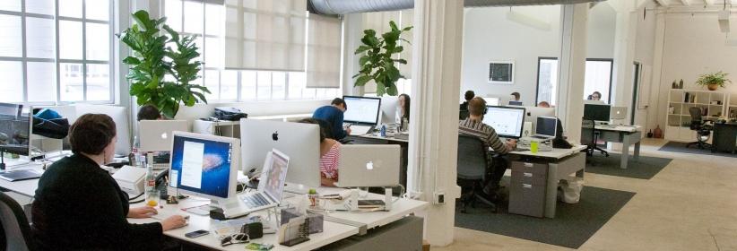 دراسة: النباتات تُسعد الموظفين وتزيد من انتاجهم