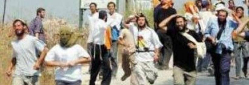 مستوطنون يهاجمون مركبة مستشار رئيس الوزراء