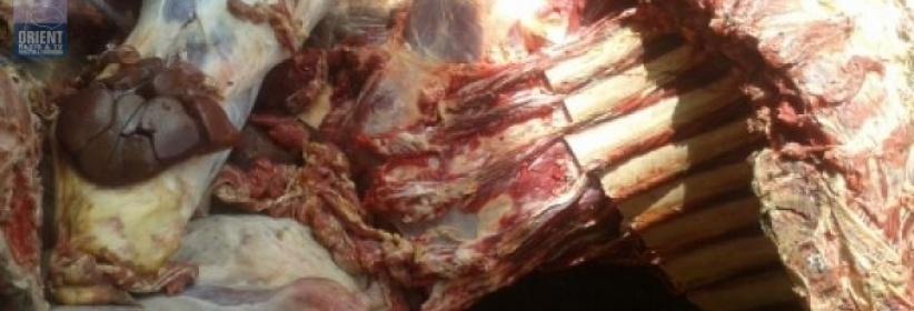 إصابة شرطي إسرائيلي في عملية دهس بالخليل