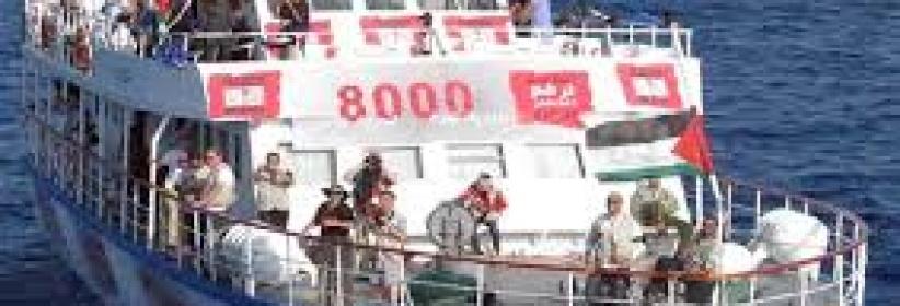 حملة إلكترونية لحماية أسطول الحرية