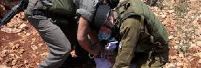 قوات الاحتلال تعتقل فتيين جنوب الخليل