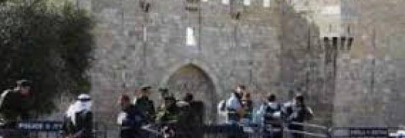 مستوطنون يقتحمون الأقصى وإبعاد 6 نساء لأسبوعين
