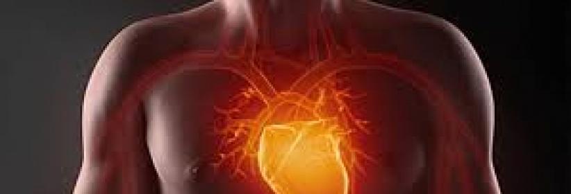 فوائد الصيام على أمراض القلب والأوعية الدموية