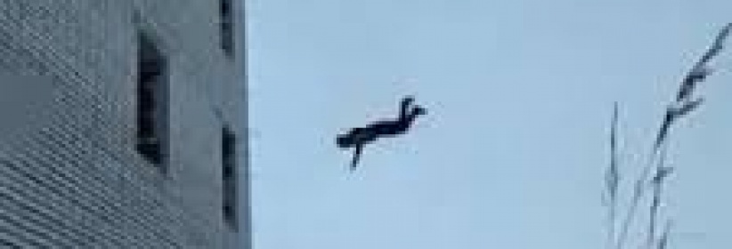 وفاة عامل في يطا سقط عن بناية قيد الانشاء