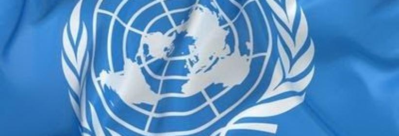 المالكي يؤكد على أهمية اجتماعات لجنة الأمم المتحدة المعنية بحقوق شعبنا غير القابلة للتصرف