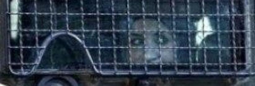 صابرين أبو شرار تعرضت للتعذيب خلال اعتقالها